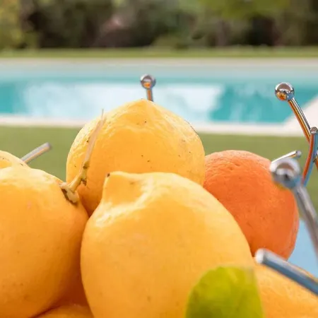L30 Lemon Pool Ac 12 Guests Bbq Garden Sea View Villa *